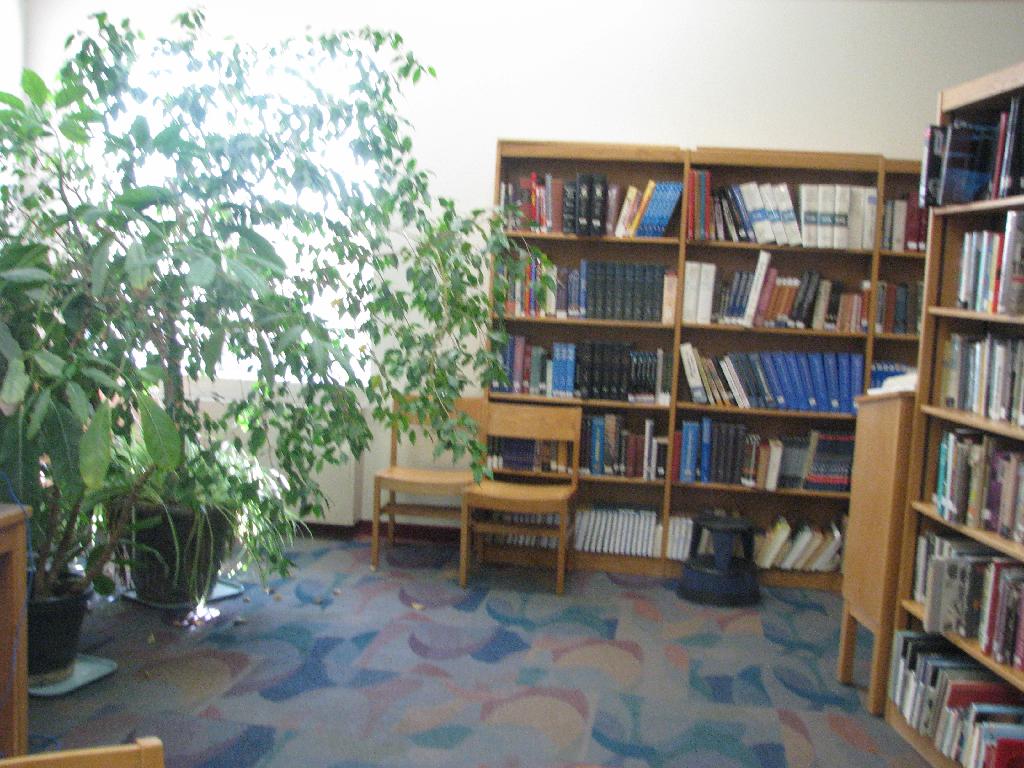hs-library12